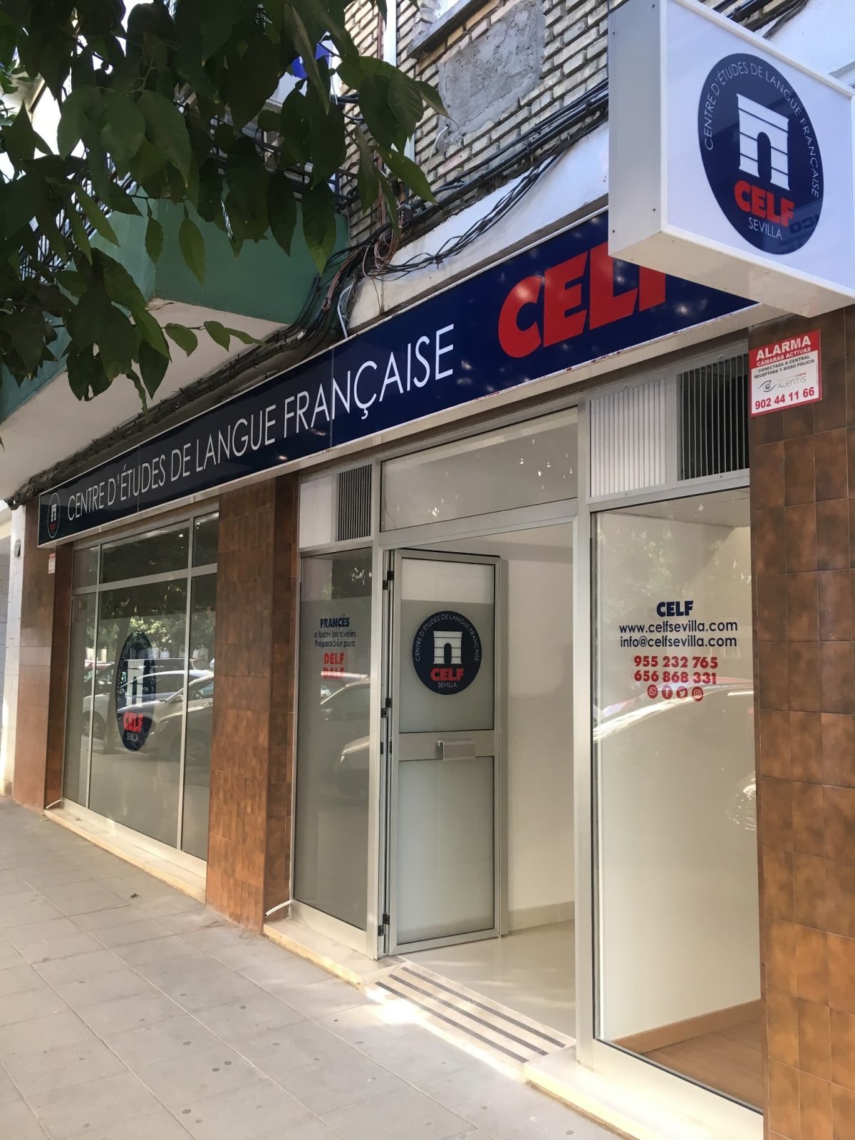 CELF Sevilla